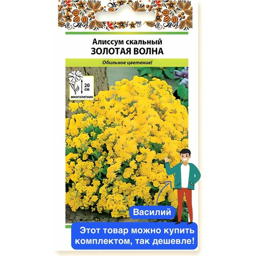 ���������� ������ ������ ������� ������ 