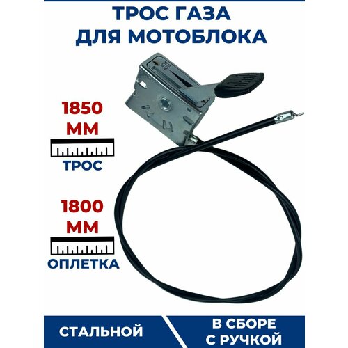 ���������� ���� ���� ��� ��������� 1800 ��, � ����� � ������