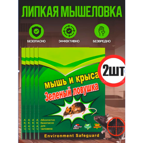 ���������� ��������� ������ ��� �����, ������� ��� ���� � �����, 2 ����