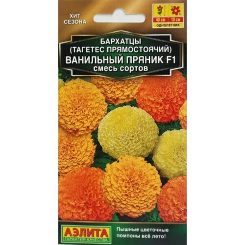 ���������� ������ �������� ������������ ��������� ������ F1 5�� ����� ��� 45�� (������)