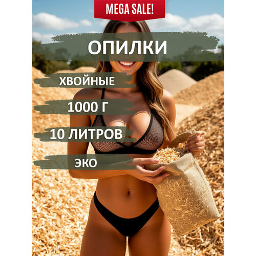 ���������� ������ �� �������� ���-����, ������� ������������� � ������ 1000 �