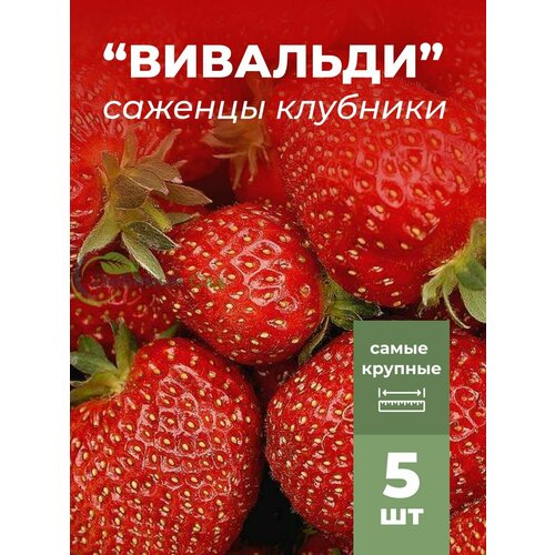 ���������� �������� ����� ������������� ��������, �������/��������� �������� 5 ��