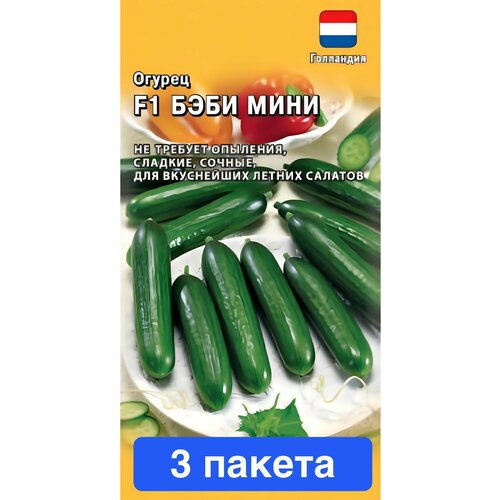 ���������� ������ ������ ������ 