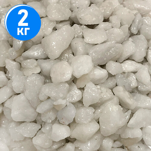 ���������� ����������� ����� ��� ��������, ����������� � ��������, Zoo One, ��������� ��������, 