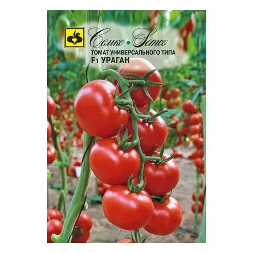 ���������� ������ ����� ������ F1 0.1� ����� ������ (�����)