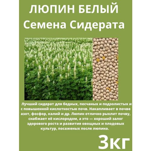 ���������� ������ �������� ����� ����� 3 ��