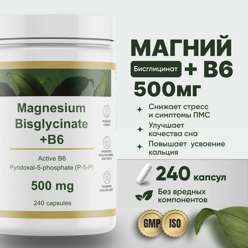    500     B6 (p-5-p) 240  Restartbio magnesium chelate bisglycinate b6      , -, 