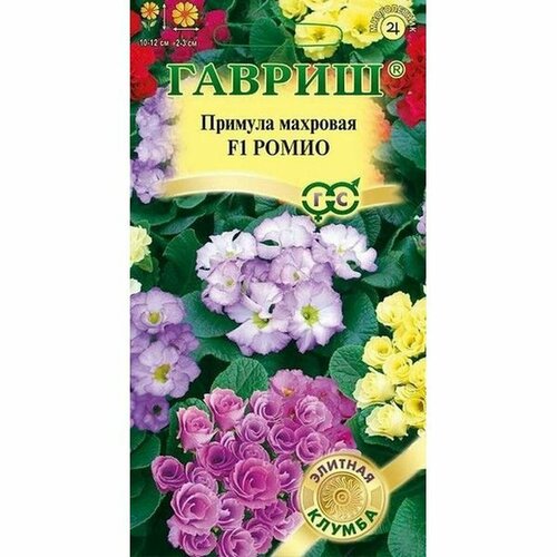 ���������� ������ ������� ����� F1 �������� (�����������) (������) 3�� ���-�