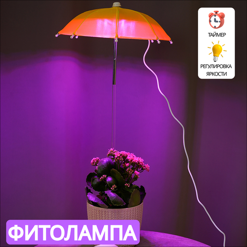 ���������� ��������� ��� ��������, ������ � �������