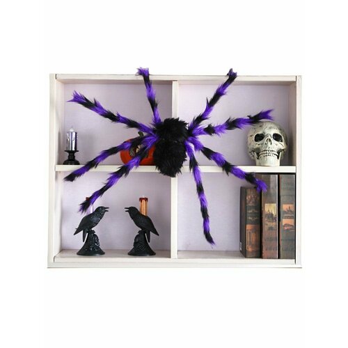 ���������� ���������� �������� ���� 75 �� �������� ����������