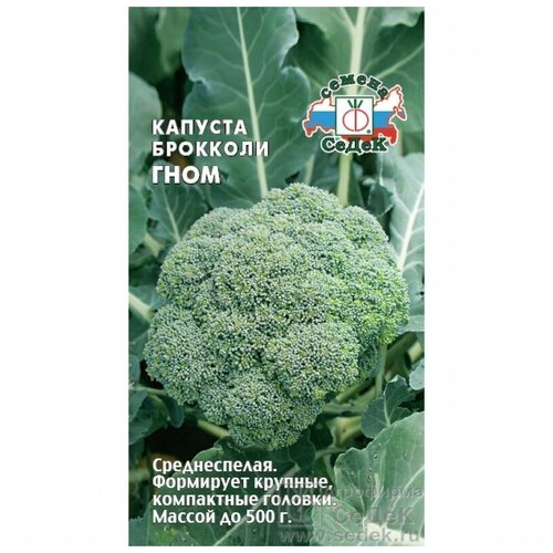 ���������� ������� �������� ����