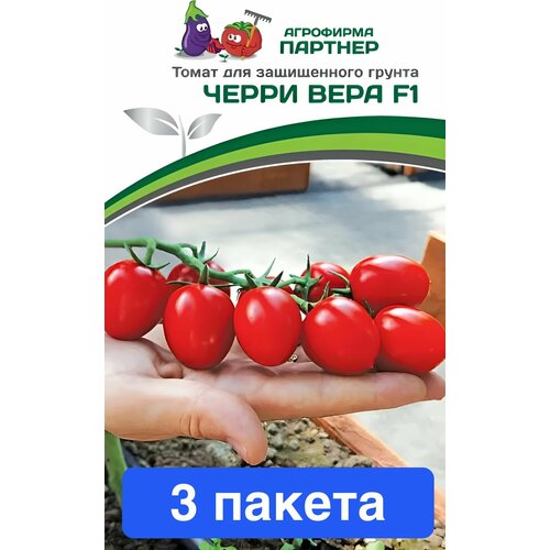 ���������� ������ ������ ��������� ������� 