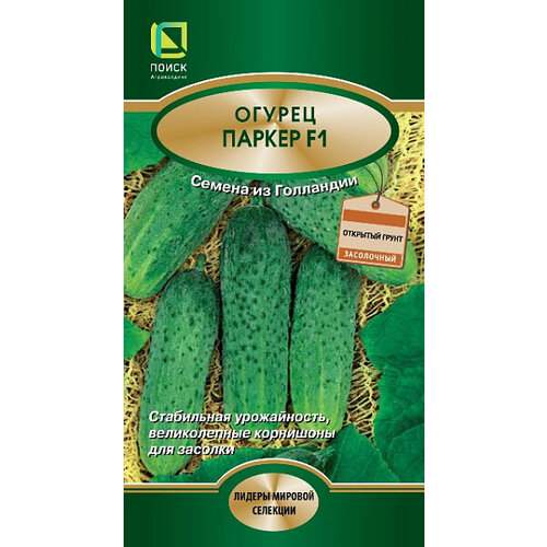 ���������� ������ ������ ������ F1 10�� �� ������ (�����)