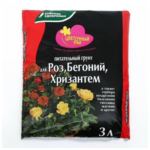 ���������� ����� ��� ���, ������� � ��������� 