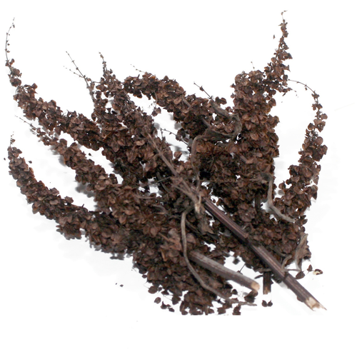 ���������� ������� ������ �����, ������� ������� 100�