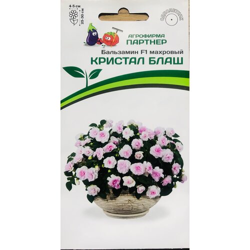 ���������� ������ ���������� F1 ������� ��������� 