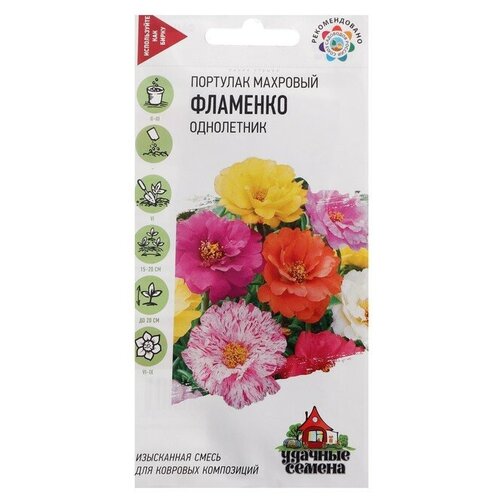 ���������� ������ �������� �������� 