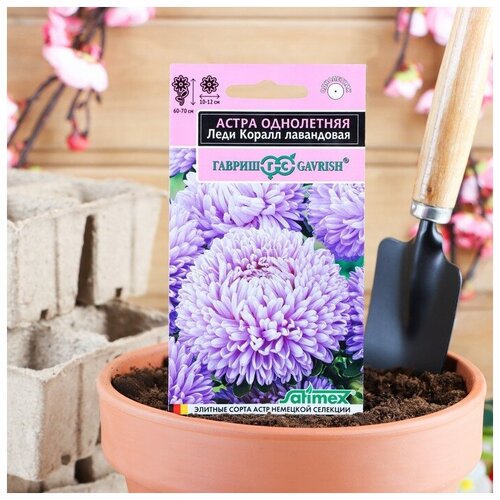 ���������� ����� ���� ����� ����������, ����������