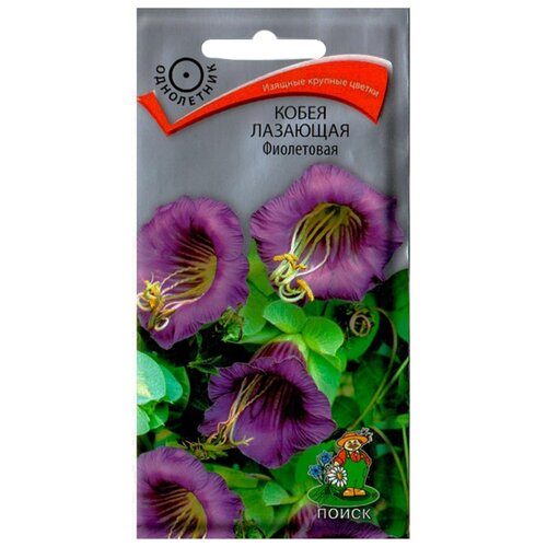 ���������� ������ ����� ����� �������� ���������� 5 ��.