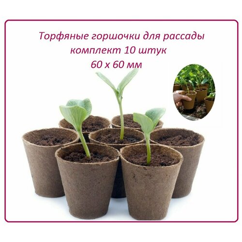 ���������� �������� �������� ��� �������, 10 ����, d 60 � h 60 ��, ����� ����������� ��� ������� ����� ������, ������ � ��������