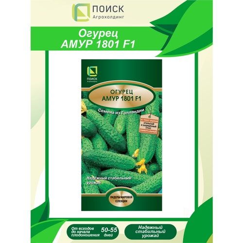 ���������� ������ ������ ���� 1801 F1 10 ��.