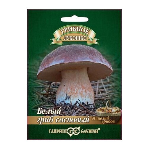 ���������� ������ ������ ������� ������� ����� ���� �������� �� �������� ��������� 15 ��