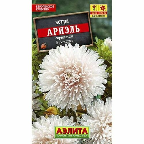 ���������� ������ ����� ������ (����������) (������) 0,2�