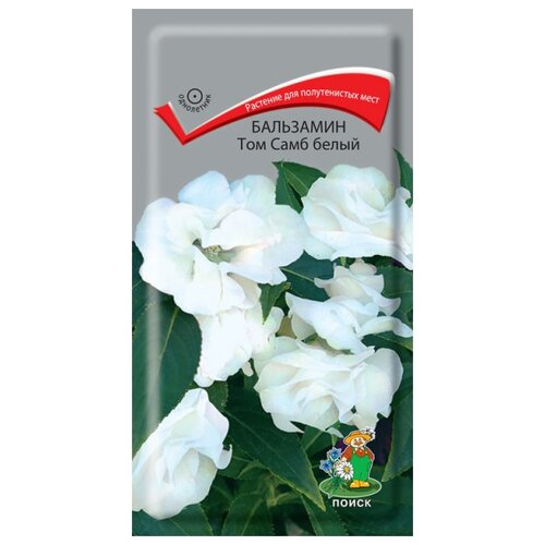 ���������� ������ ����� ��������� ��� ���� ����� 0.1 �