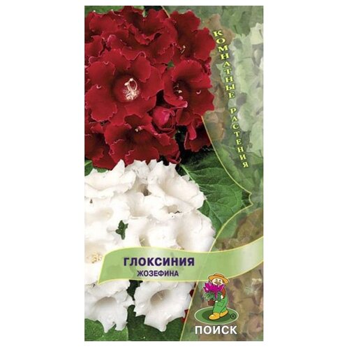 ���������� ������ ����� ��������� �������� ����� 5 ��.