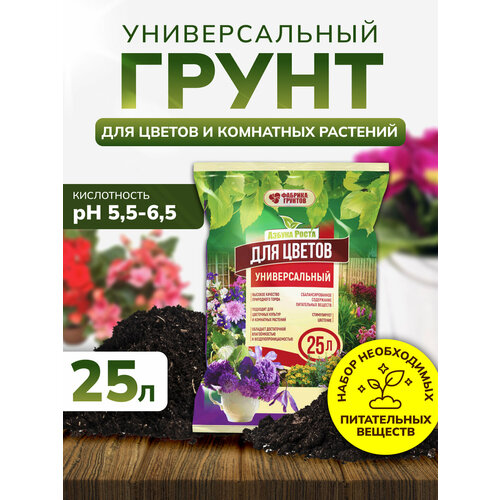 ���������� ����� ��� ������ ������������� 25 ������, ����� ��� �������, ����������, InHome Green