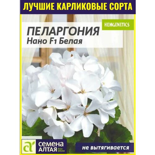 ���������� ������ ���������� ���������� ���� F1 ����� - 3 ��. ����������� ��������� ������