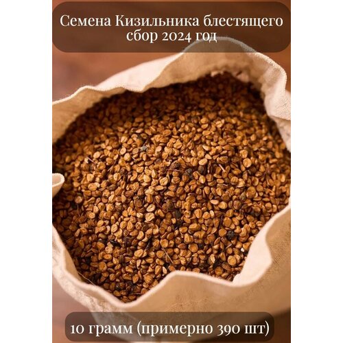 ���������� ������ ���������� ����������, ������������, �������� ��� ����� ��������, 10 ����� (�������� 390 ��)