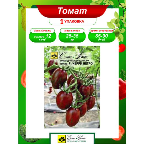 ���������� ������ ����� ����� ����� F1 ����������� 5 ��./��.