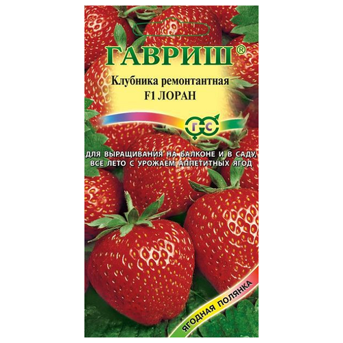 ���������� ������ ������ ������� ������� �������� ������������ ����� F1, ��������, 5 ��.