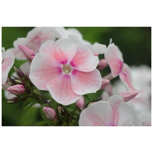 ���������� ����� F1 21 ��� ������-�������, ����� ��������� ����� � ��������������� ����������, 7 �� �����