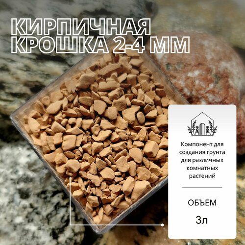 ���������� ��������� ������ 2-4�� - 3� / ������ ��� ��������, �����������