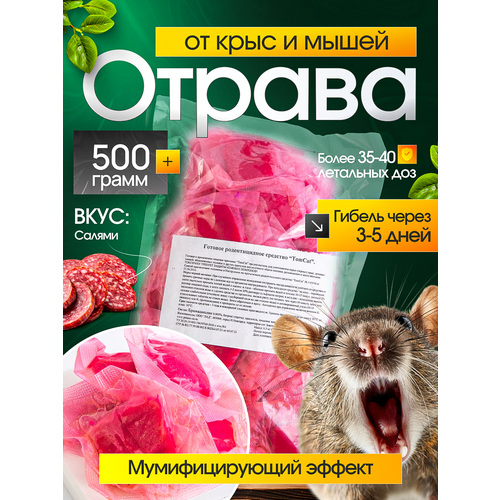 ���������� ��� ��� TomCat �����-������, �������� �� �������� (�����, ����) 500��, ���� ������