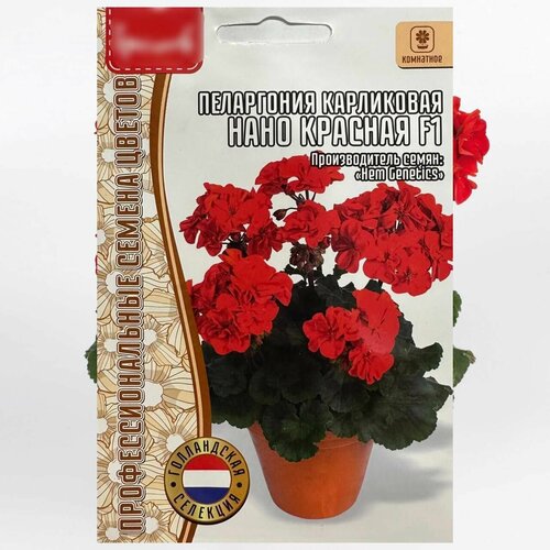 ���������� ������ ����������� ������ ��� ���� � ���� ���������� ������ ���������� ���� �������