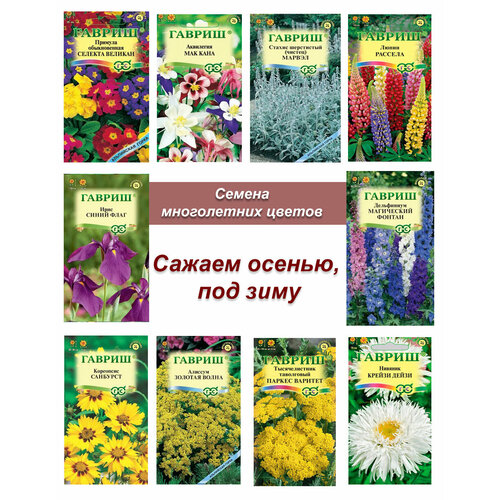 ���������� ������ �������������, ����� ����� ����������� ������