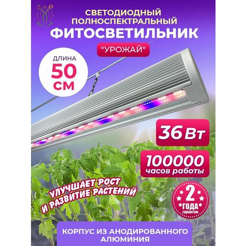 ���������� ��������� ��� �������� � ������� 