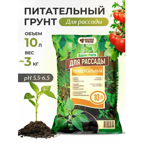 ���������� ����� ������������ ��� ������� ������ � ������, 10 �, ����������, InHome Green