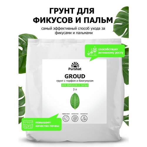 ���������� ����� (�����) ��� ������� � ����� ������. � ������ � ���������� ��� ��������� ����� � �������������� �������� (Purshat) 3 �