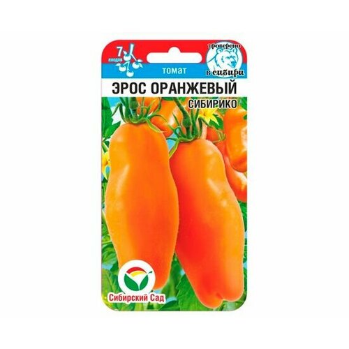 ���������� ������ ����� ���� ��������� 20�� ����� (��������� ���)