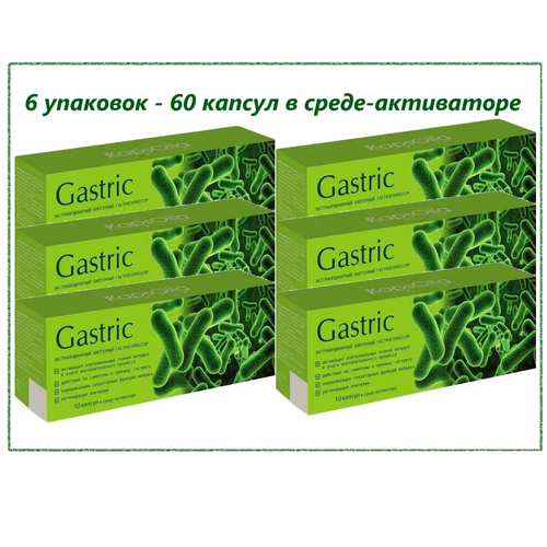 Gastric KapsOila ( )    , , 6   10 . -.   , -, 