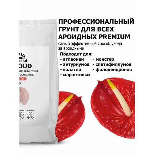 ���������� ���������� Pr�mium ��� ���������, ������������ � ������ �������� 10 �