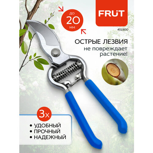 ���������� ������� ������������� �������� ������������� FRUT
