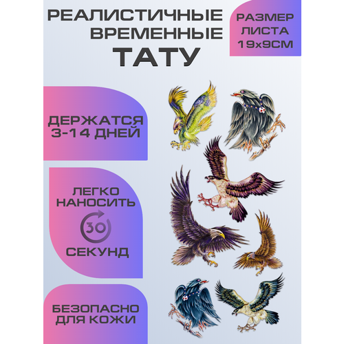 ���������� ���� ���������� ��������������, ��������� ���� �����