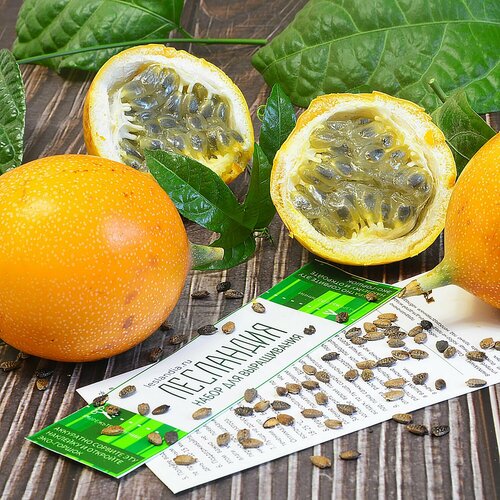 ���������� ���������� ��������� ���������� ��������, ������, 5 ��