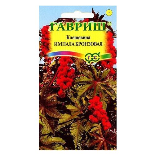 ���������� ������ ������ ��������� ������ ��������� 5 ��.