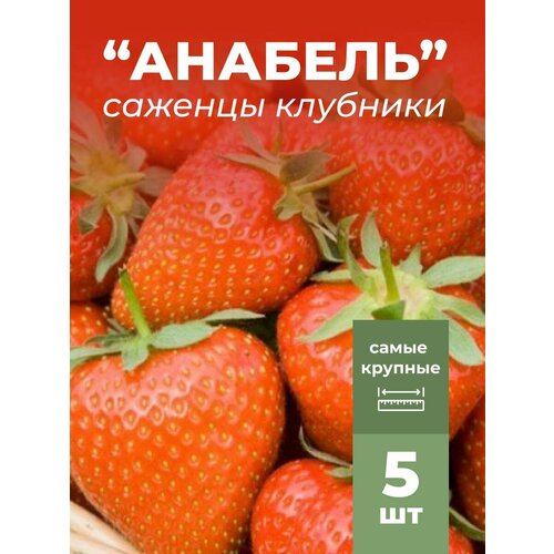 ���������� �������� ����� ������������� �������, �������/��������� �������� 5 ��